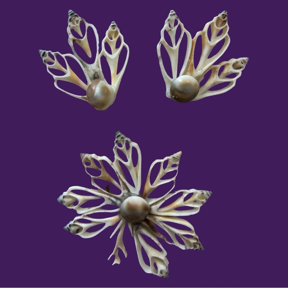 Shell Brooch and Earrings Set – Natural Cream – 1960s